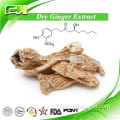 For Sale Dry Ginger P.E., Dry Ginger Extract, Dry Ginger Powder